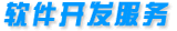 軟件開發(fā)服務(wù)
